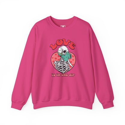 Love in the Air Sweatshirt